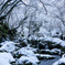 Snow scene
