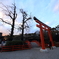 下鴨神社