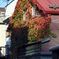 DSC05681