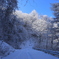 雪道