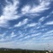 越後妻有の秋の空