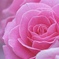06211839-8DDA-48D9-8B8A-27157C8966A0