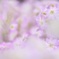 appear
