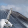 雪の兎