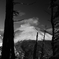 噴煙をあげる浅間山