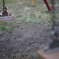 DSC00223