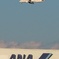 JAL だけど ANA