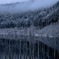 冬の自然湖