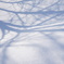 雪影