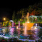 夜空を彩る薔薇公園