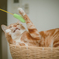 カルビ猫