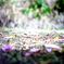 Petal
