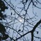 with Moon