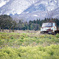 abandoned truck
