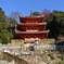 金華山・三重塔