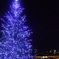 A illumination Tree & Tenjin-bashi