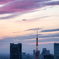 The Sunset 14