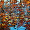紅葉の池