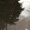 雪
