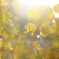 Embraced by the warm winter light