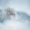 大雪のキオク