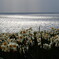 DSCN5040