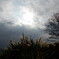DSCN5038