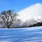 桜のころ  また・・