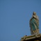 Silence : Woman who prays
