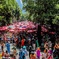 Carnaval 2020, Desliga da Justiça! 