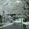 雪の鉄橋