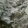 渓流の雪