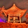 善光寺　灯明まつり