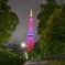 夜の東京タワー