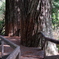 Northern California #6