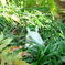 ｆｉｎｄ（見つかった？）