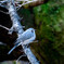 DSCF5298