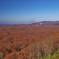 遥かなる岩木山