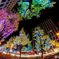 2019年11月　御堂筋