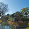 八幡山教王護国寺