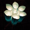 A Candle Flower