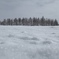 雪原
