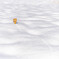 ダンボー君、雪だるまをつくるの3