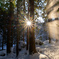 Falling snow