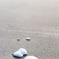 雪の小島