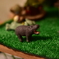 かば、にらめっこ。