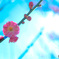 春の訪れ桃の花