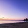 桂浜の夜明け