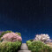 星空２