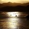 Shining sea